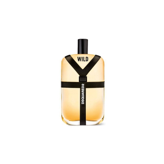 ادو تویلت مردانه دیسکوارد مدل Wild حجم 100 میلی لیتر