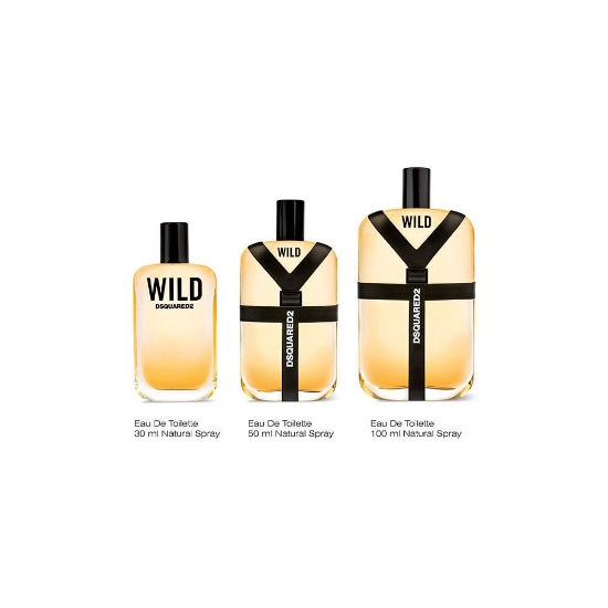 ادو تویلت مردانه دیسکوارد مدل Wild حجم 100 میلی لیتر