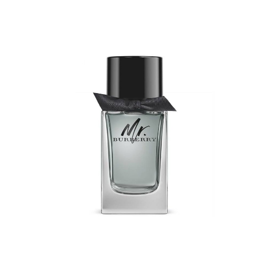 ادو تویلت مردانه بربری مدل Mr Burberry حجم 100 میلی لیتر
