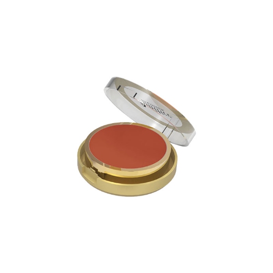 رژ گونه آمیتیس شماره A06