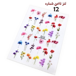 لنز ناخن شماره D12