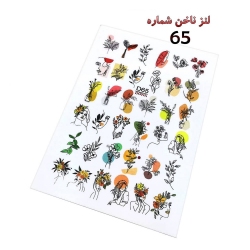 تصویر  لنز ناخن شماره D65