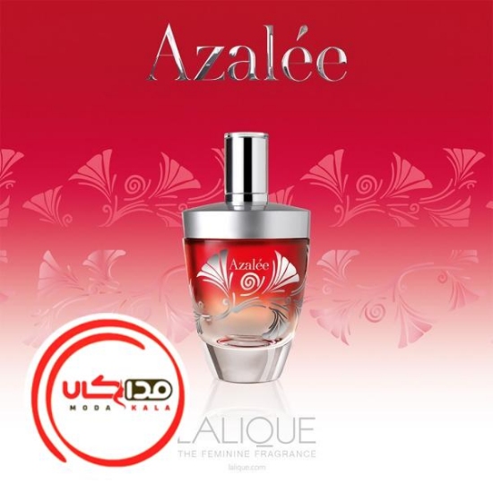 تصویر  عطر ادکلن لالیک ازالی | Lalique Azalee