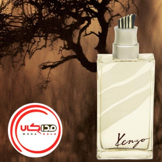 تصویر  عطر ادکلن کنزو جانگل هوم | kenzo Jungle Homme