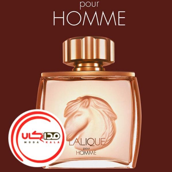 عطر ادکلن لالیک پور هوم ایکوز | Lalique Pour Homme Equus