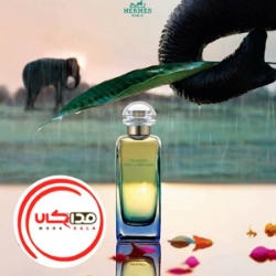 تصویر  عطر ادکلن هرمس ان جاردین اپرس لا موشن | Hermes Un jardin apres la mousson