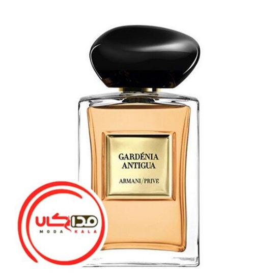 عطر ادکلن جورجیو آرمانی گاردنیا آنتیگوا | Giorgio Armani Gardénia Antigua