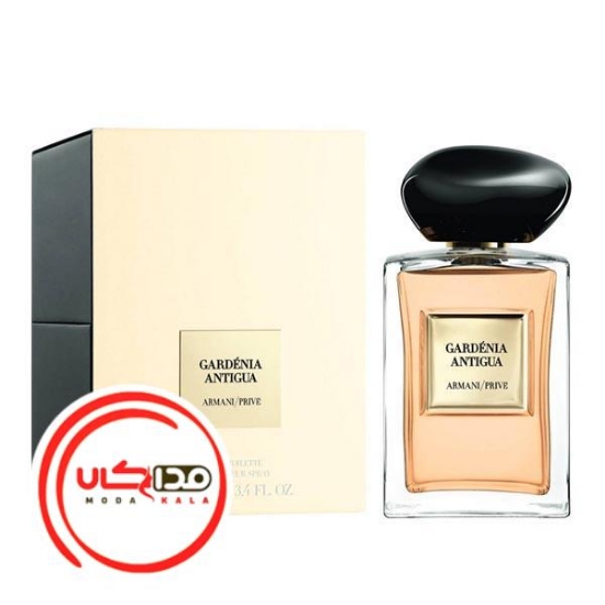 عطر ادکلن جورجیو آرمانی گاردنیا آنتیگوا | Giorgio Armani Gardénia Antigua