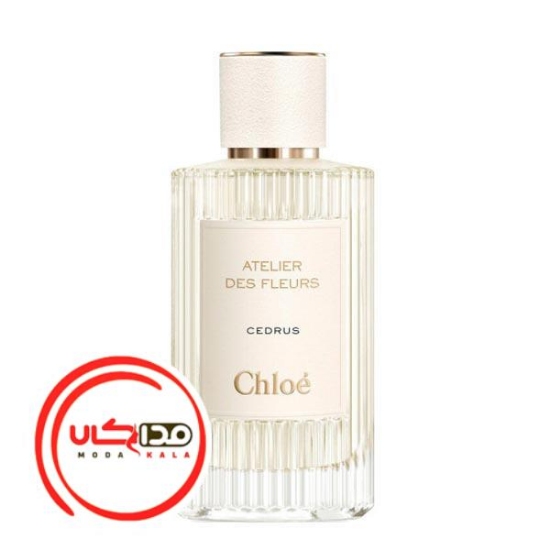 عطر ادکلن کلوهه سدروس | Chloe Cedrus