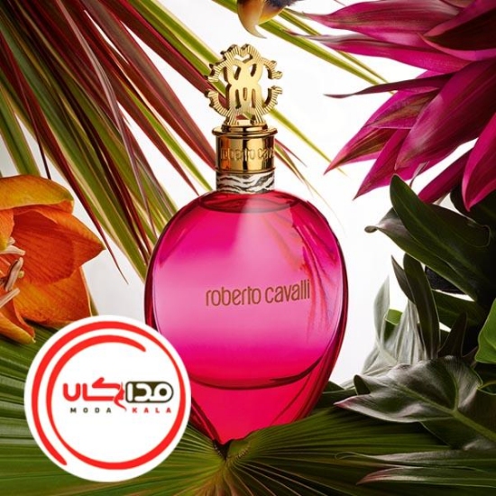 عطر ادکلن روبرتو کاوالي اگزوتيکا | Roberto Cavalli Exotica