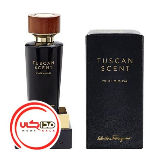 عطر ادکلن سالواتوره فراگامو وایت میموسا | Salvatore Ferragamo White Mimosa