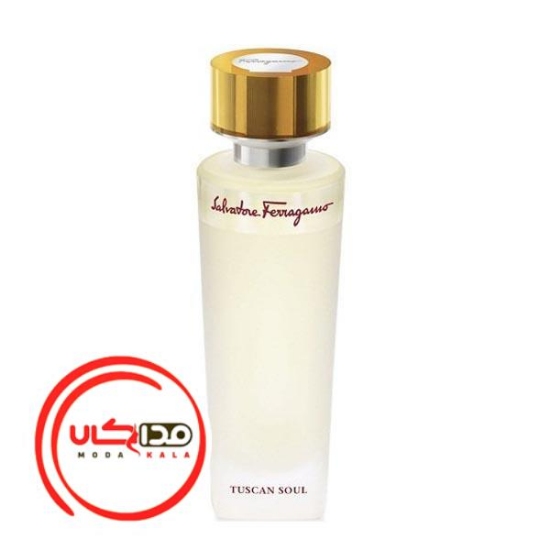 عطر ادکلن سالواتوره فراگامو توسکان سول | Salvatore Ferragamo Tuscan Soul
