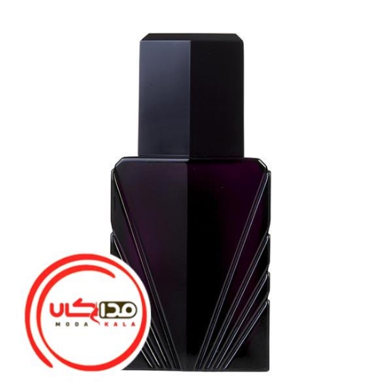 عطر ادکلن الیزابت تیلور پاشن مردانه | Elizabeth Taylor Passion for Men