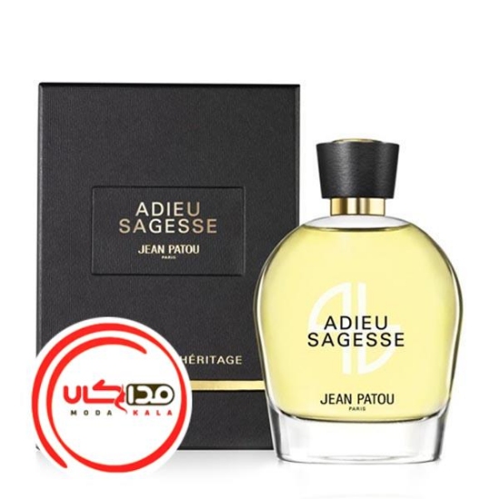 عطر ادکلن ژان پتو ادیو ساگس | Jean Patou Adieu Sagesse