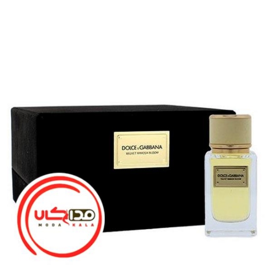 عطر ادکلن دلچه گابانا ولوت میموسا بلوم | Dolce Gabbana Velvet Mimosa Bloom