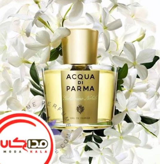 عطر ادکلن آکوا دی پارما گلسومینو | Acqua di Parma Gelsomino