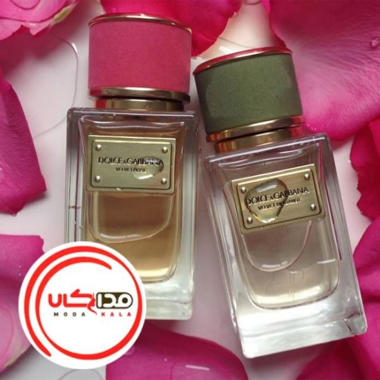 عطر ادکلن دی اند جی دلچه گابانا ولوت رز | Dolce Gabbana Velvet Rose