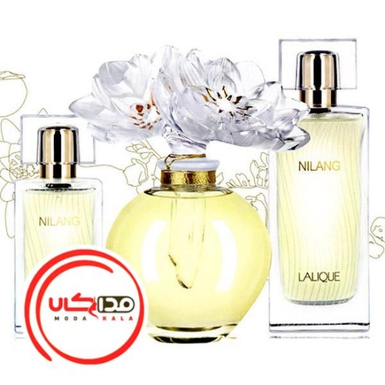عطر ادکلن لالیک نیلانگ 2011 | Lalique Nilang 2011