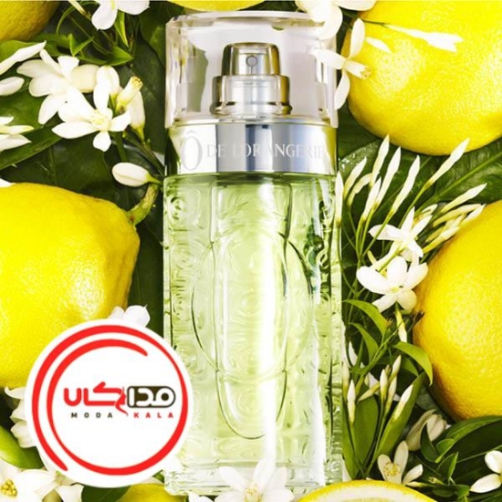تصویر  عطر ادکلن لانکوم او د له اورنجری | Lancome O de L`Orangerie