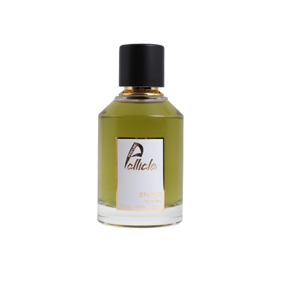 پرفیوم پلیکل Pellicle Isfahan - گوچی گیلتی بلک حجم 100 میلی لیتر