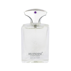 عطر جیبی مردانه برندینی مدل Reflection حجم 33 میلی لیتر