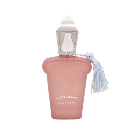 عطر جیبی مردانه زنانه برندینی مدل Carnation حجم 33 میلی لیتر