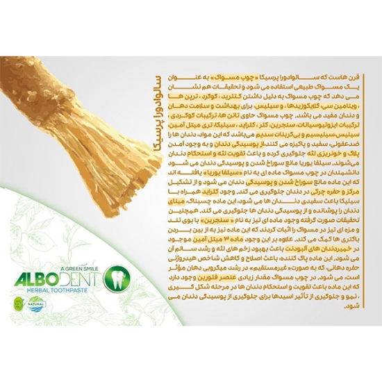 خمیر دندان آلبودنت آلوئه ورا مدل complete حجم 75 میلی لیتر
