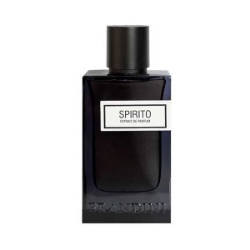 پرفیوم مردانه brandini مدل Spirito حجم 90 میلی لیتر