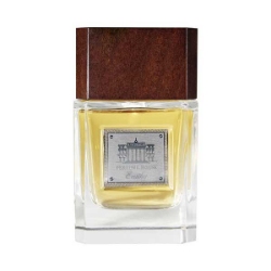 ادوپرفیوم مردانه PERFUME HOUSE مدل EARTHY حجم 100 میلی لیتر